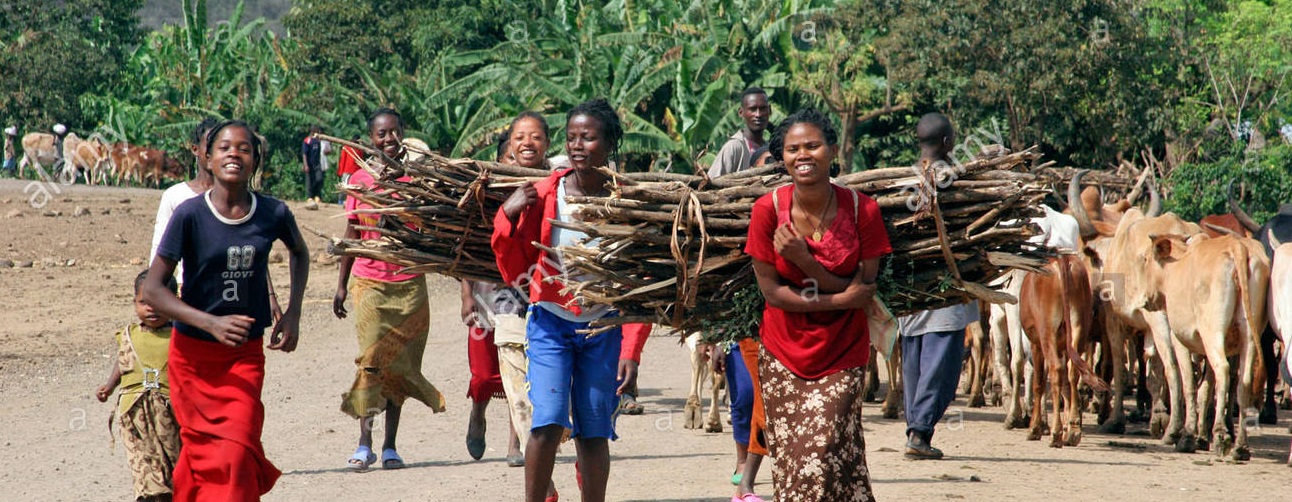 "Young girls carrying fuelwood for cooking & heating"