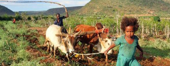 "Ancient tilling method still in use"